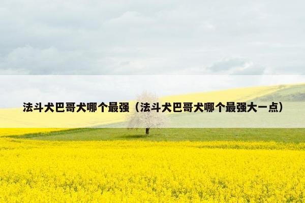 法斗犬巴哥犬哪个最强（法斗犬巴哥犬哪个最强大一点）