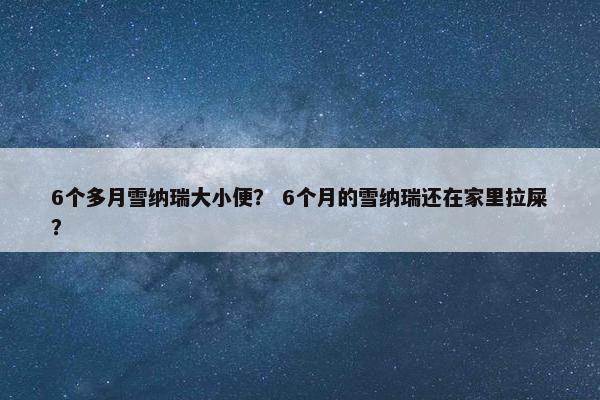 6个多月雪纳瑞大小便？ 6个月的雪纳瑞还在家里拉屎？