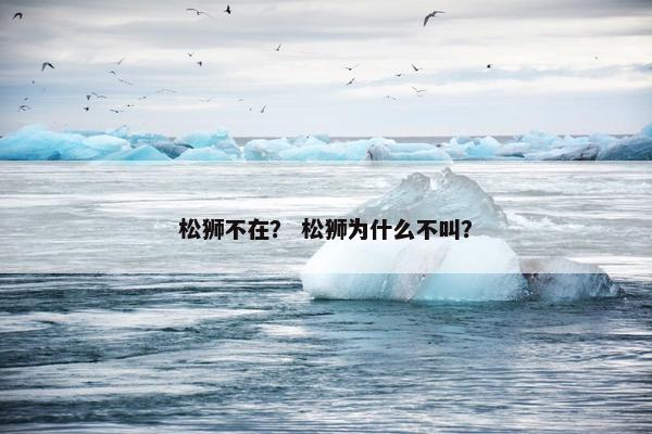 松狮不在？ 松狮为什么不叫？