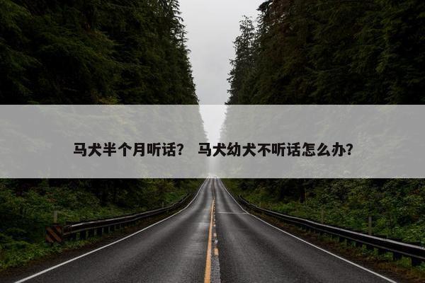 马犬半个月听话？ 马犬幼犬不听话怎么办？