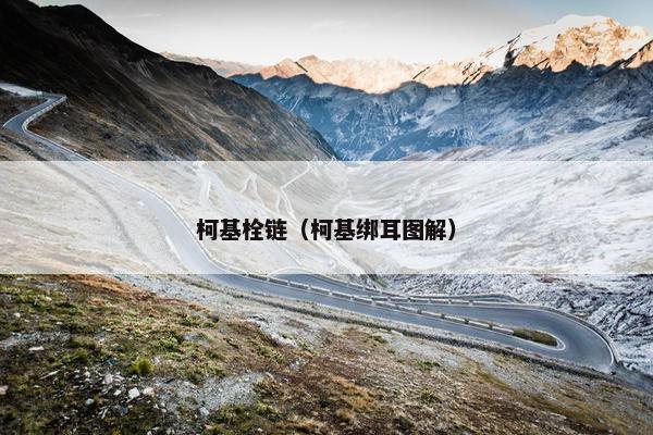 柯基栓链（柯基绑耳图解）