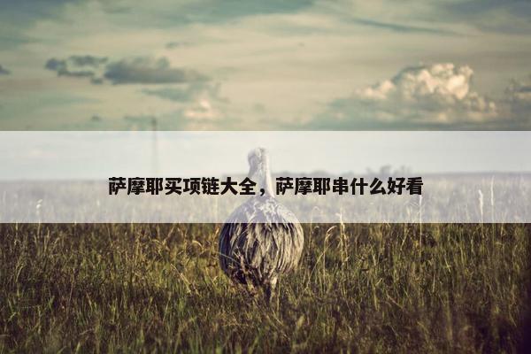 萨摩耶买项链大全，萨摩耶串什么好看