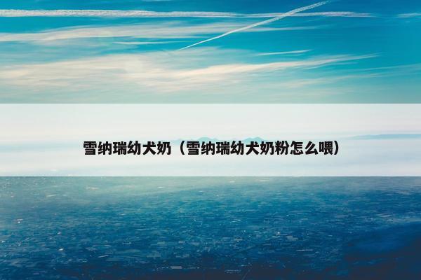雪纳瑞幼犬奶（雪纳瑞幼犬奶粉怎么喂）