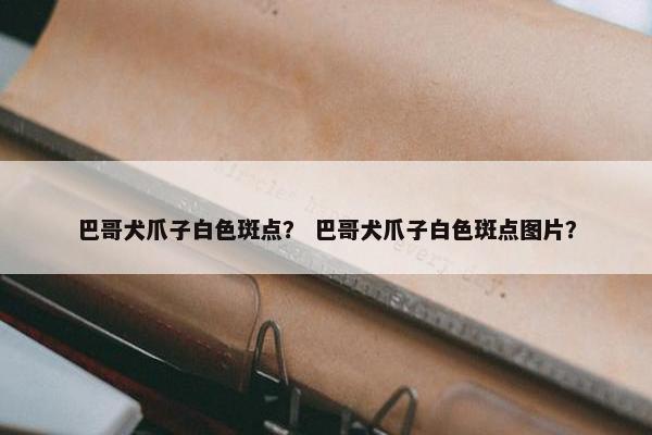 巴哥犬爪子白色斑点？ 巴哥犬爪子白色斑点图片？