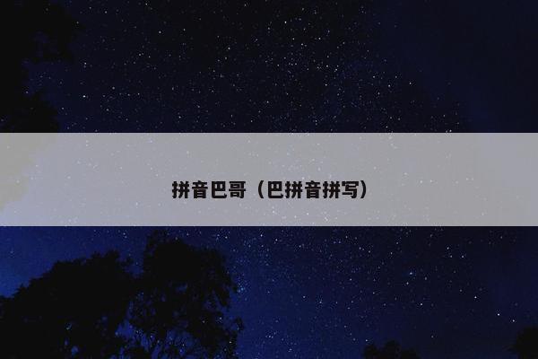 拼音巴哥（巴拼音拼写）