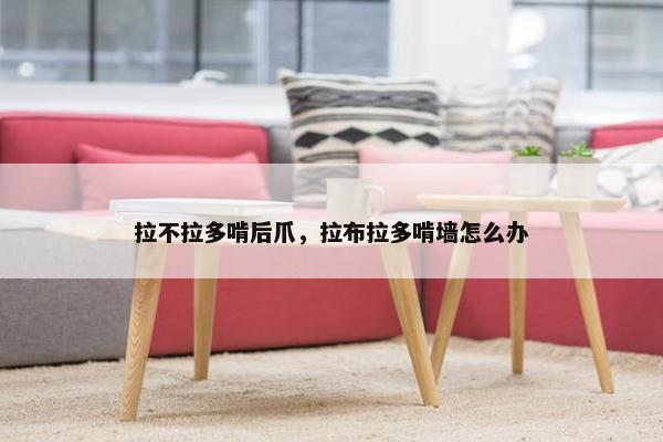 拉不拉多啃后爪，拉布拉多啃墙怎么办