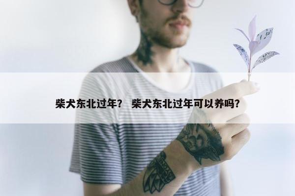 柴犬东北过年？ 柴犬东北过年可以养吗？