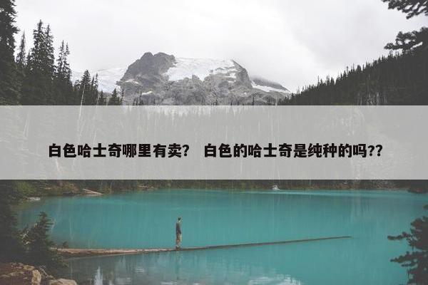 白色哈士奇哪里有卖？ 白色的哈士奇是纯种的吗?？
