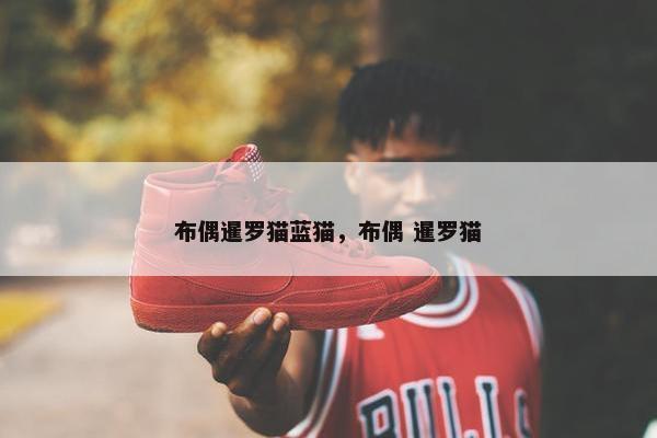布偶暹罗猫蓝猫，布偶 暹罗猫