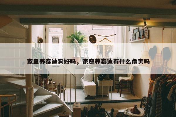 家里养泰迪狗好吗，家庭养泰迪有什么危害吗