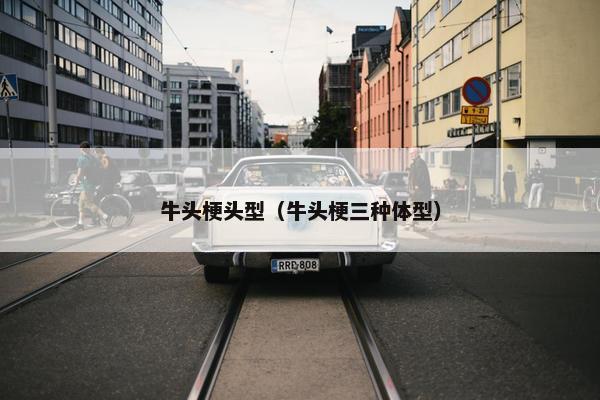 牛头梗头型（牛头梗三种体型）