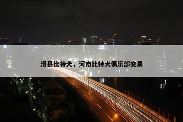 滑县比特犬，河南比特犬俱乐部交易