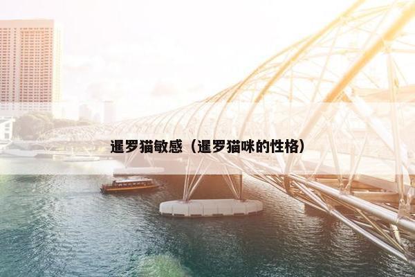 暹罗猫敏感（暹罗猫咪的性格）