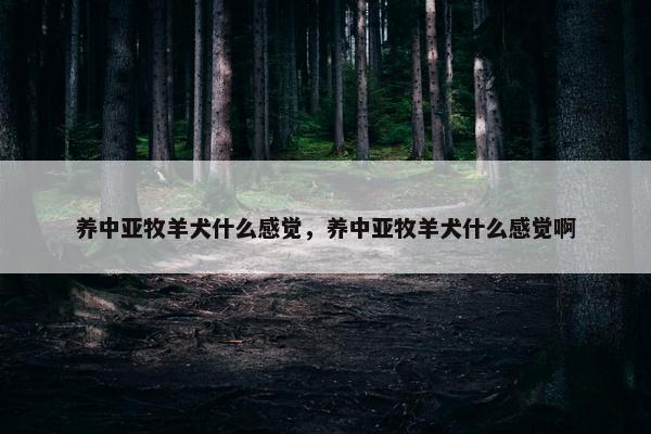 养中亚牧羊犬什么感觉，养中亚牧羊犬什么感觉啊