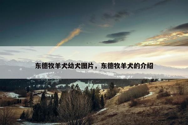 东德牧羊犬幼犬图片，东德牧羊犬的介绍