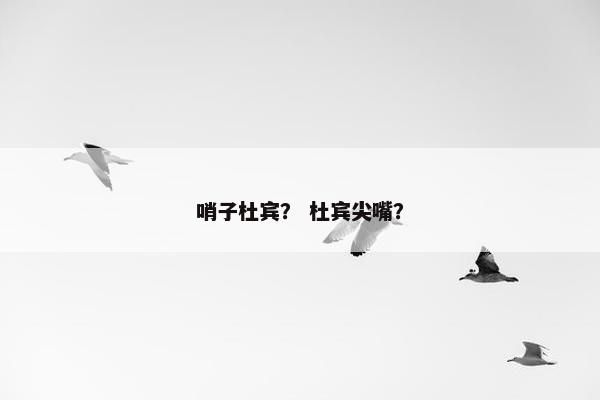 哨子杜宾？ 杜宾尖嘴？