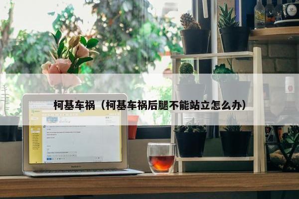 柯基车祸（柯基车祸后腿不能站立怎么办）