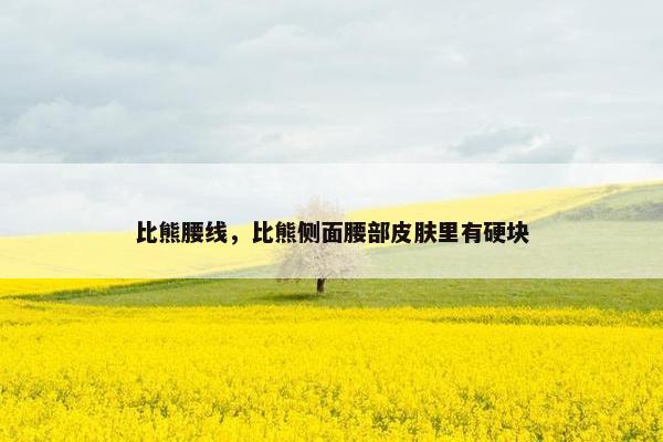 比熊腰线，比熊侧面腰部皮肤里有硬块