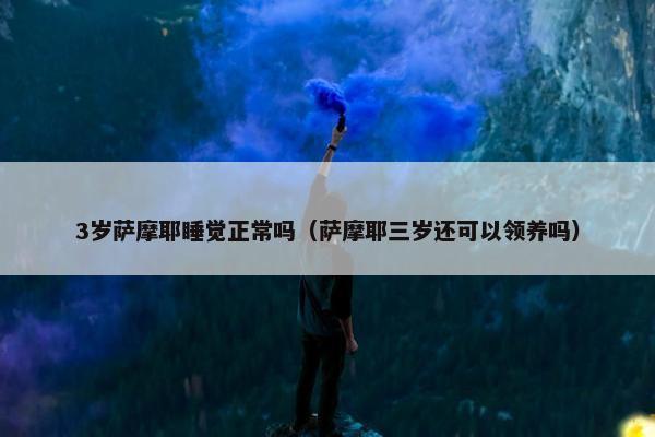 3岁萨摩耶睡觉正常吗（萨摩耶三岁还可以领养吗）