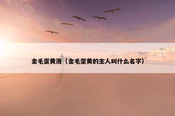 金毛蛋黄液（金毛蛋黄的主人叫什么名字）