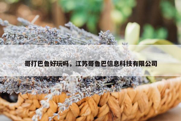 哥打巴鲁好玩吗，江苏哥鲁巴信息科技有限公司