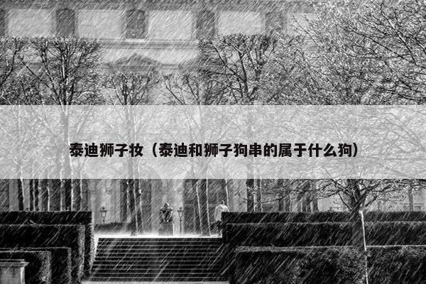 泰迪狮子妆（泰迪和狮子狗串的属于什么狗）