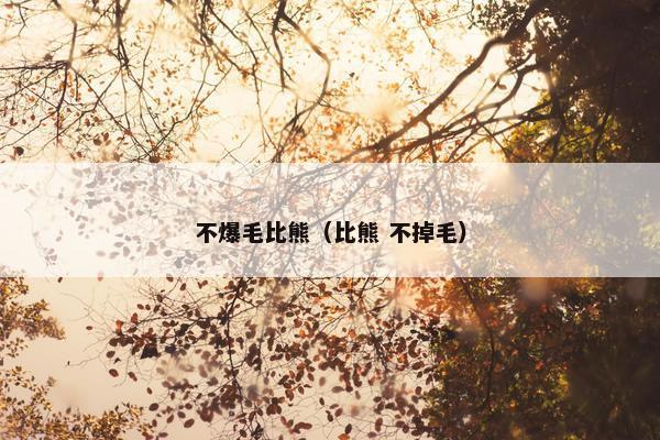 不爆毛比熊（比熊 不掉毛）