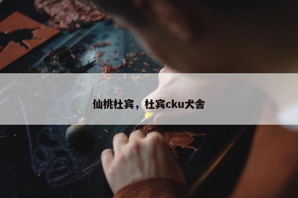 仙桃杜宾，杜宾cku犬舍