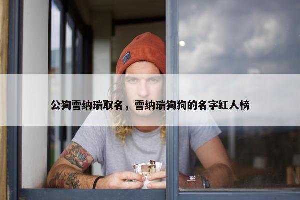 公狗雪纳瑞取名，雪纳瑞狗狗的名字红人榜