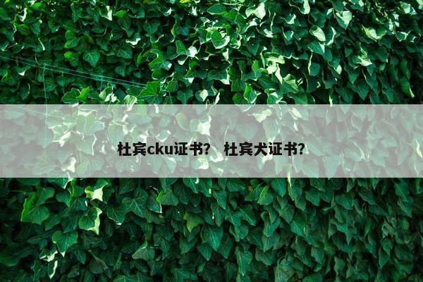 杜宾cku证书？ 杜宾犬证书？