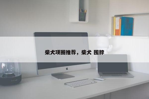 柴犬项圈推荐，柴犬 围脖