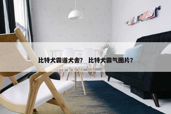 比特犬霸道犬舍？ 比特犬霸气图片？