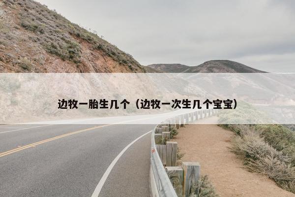 边牧一胎生几个（边牧一次生几个宝宝）