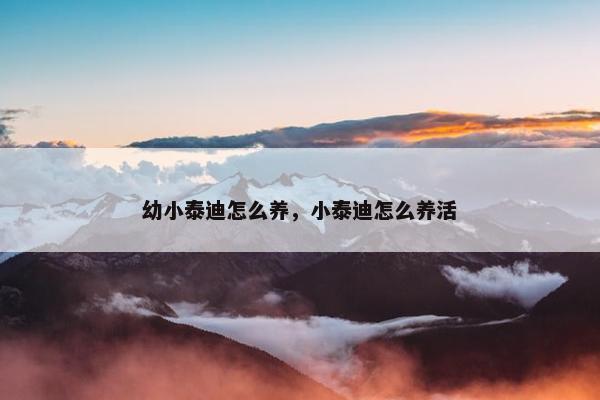 幼小泰迪怎么养，小泰迪怎么养活