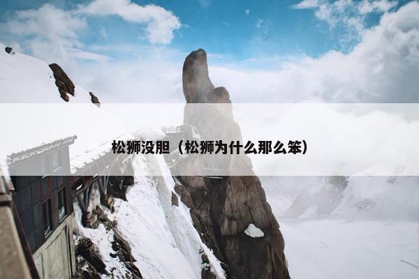 松狮没胆（松狮为什么那么笨）