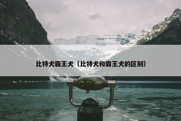 比特犬霸王犬（比特犬和霸王犬的区别）