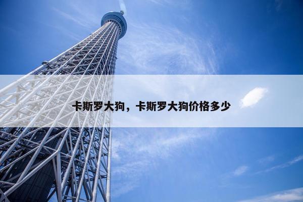 卡斯罗大狗，卡斯罗大狗价格多少