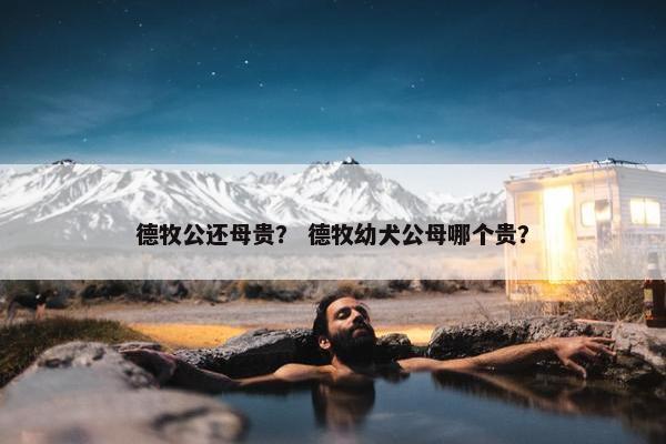 德牧公还母贵？ 德牧幼犬公母哪个贵？