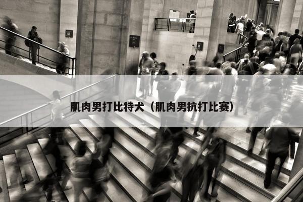 肌肉男打比特犬（肌肉男抗打比赛）