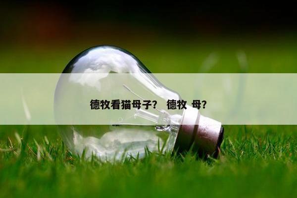德牧看猫母子？ 德牧 母？
