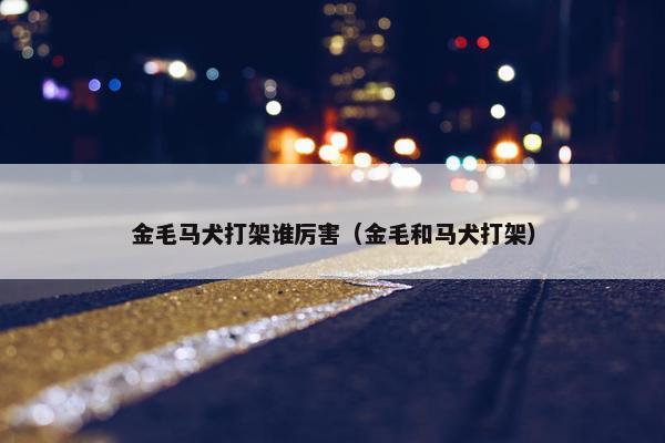 金毛马犬打架谁厉害（金毛和马犬打架）
