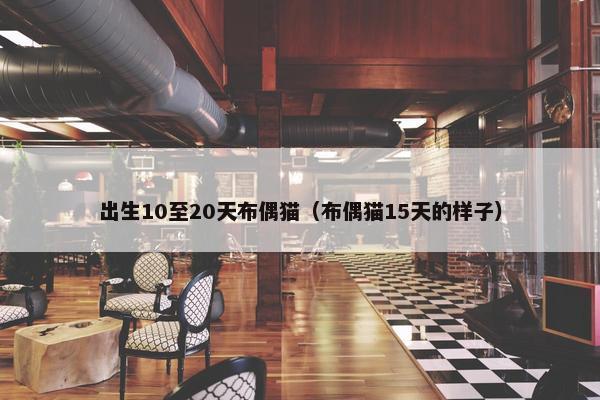出生10至20天布偶猫（布偶猫15天的样子）
