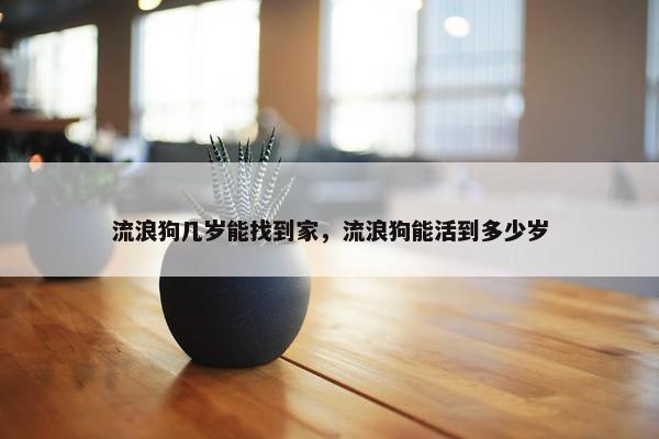 流浪狗几岁能找到家，流浪狗能活到多少岁