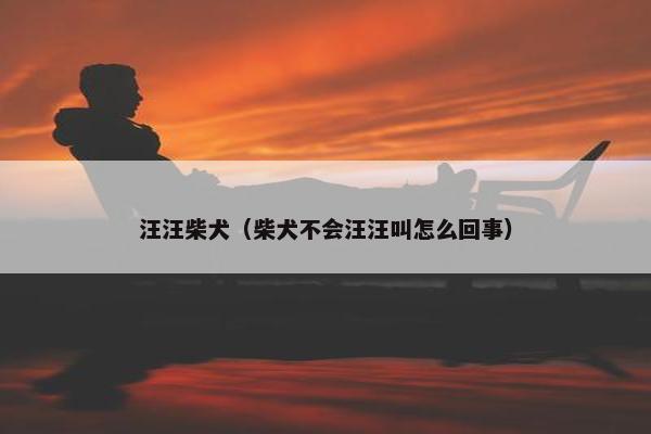汪汪柴犬（柴犬不会汪汪叫怎么回事）