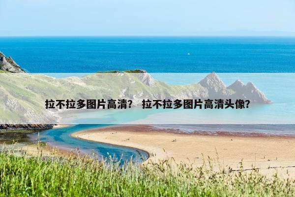 拉不拉多图片高清？ 拉不拉多图片高清头像？