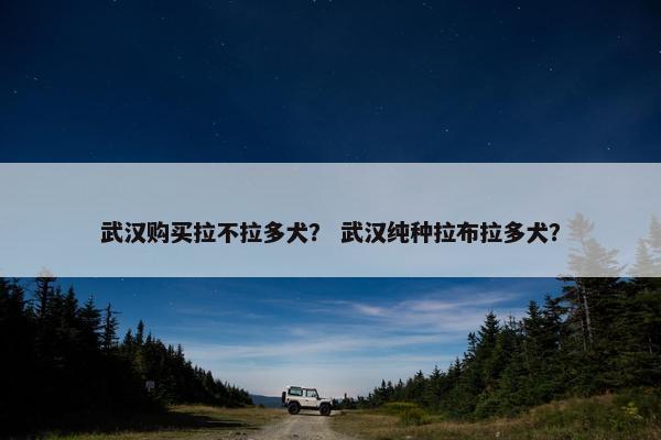 武汉购买拉不拉多犬？ 武汉纯种拉布拉多犬？