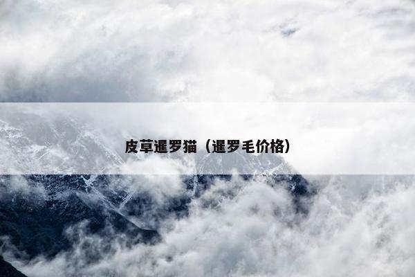 皮草暹罗猫（暹罗毛价格）
