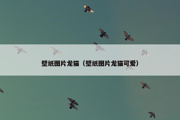 壁纸图片龙猫（壁纸图片龙猫可爱）