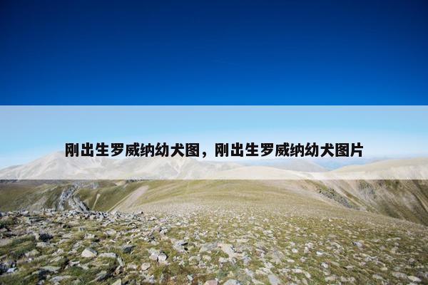刚出生罗威纳幼犬图，刚出生罗威纳幼犬图片