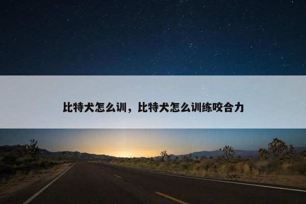 比特犬怎么训，比特犬怎么训练咬合力